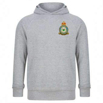 612 Squadron - RAF Medical Reserves Hood